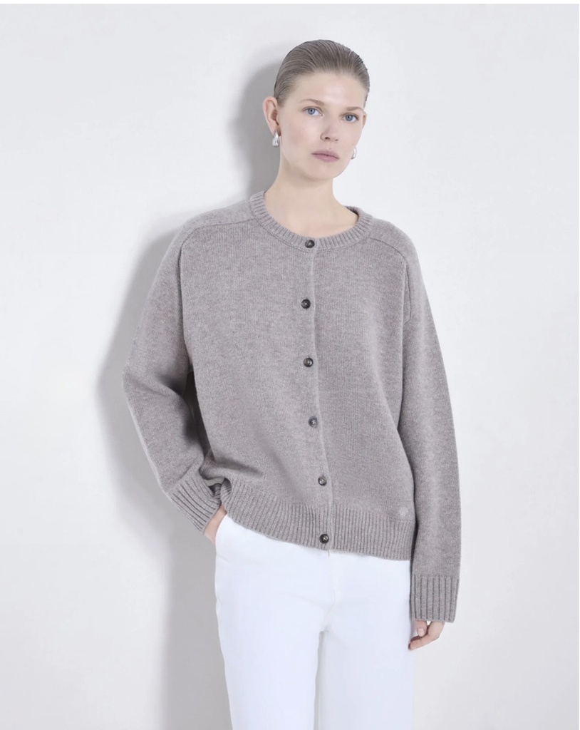 Wool And Cashmere Cardigan Aidar