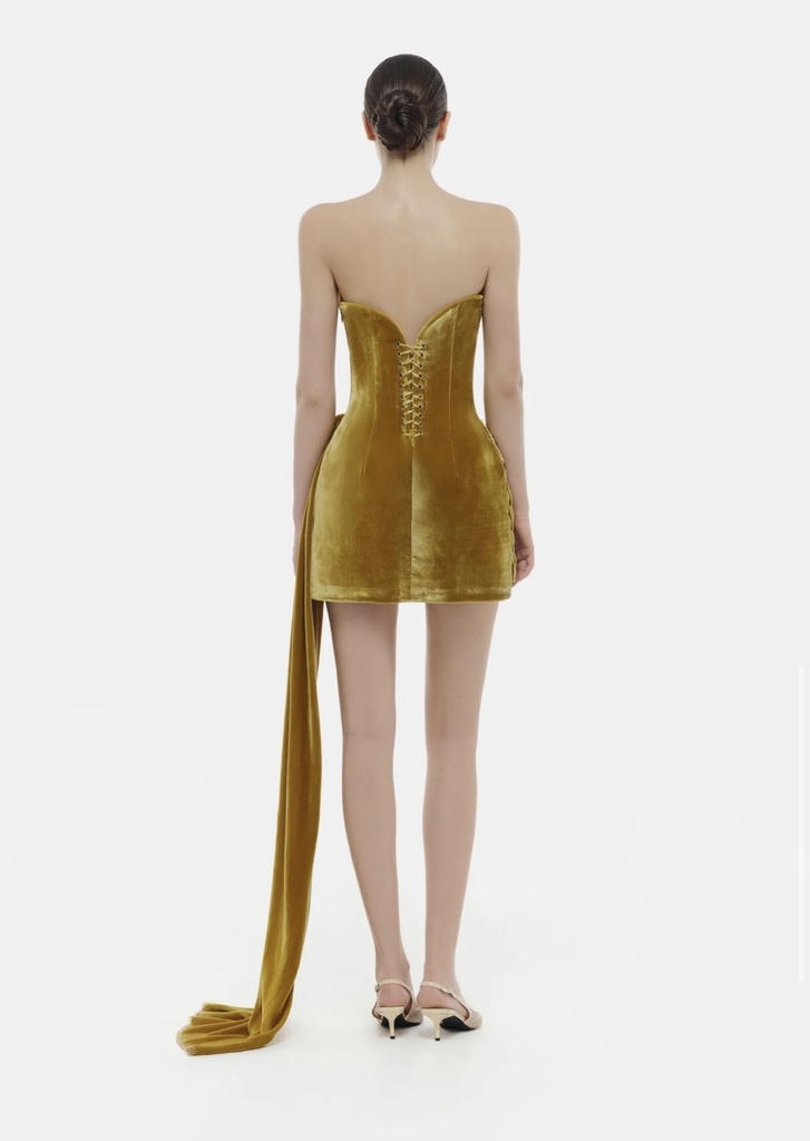 Ladies Dress Olive Velvet Mini Dress