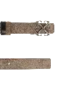 Arrow Belt 25 