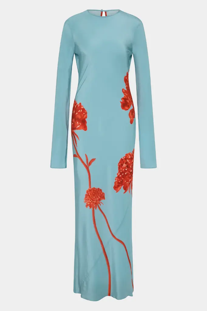 Amelie Long Sleeve Maxi Dress Flore
