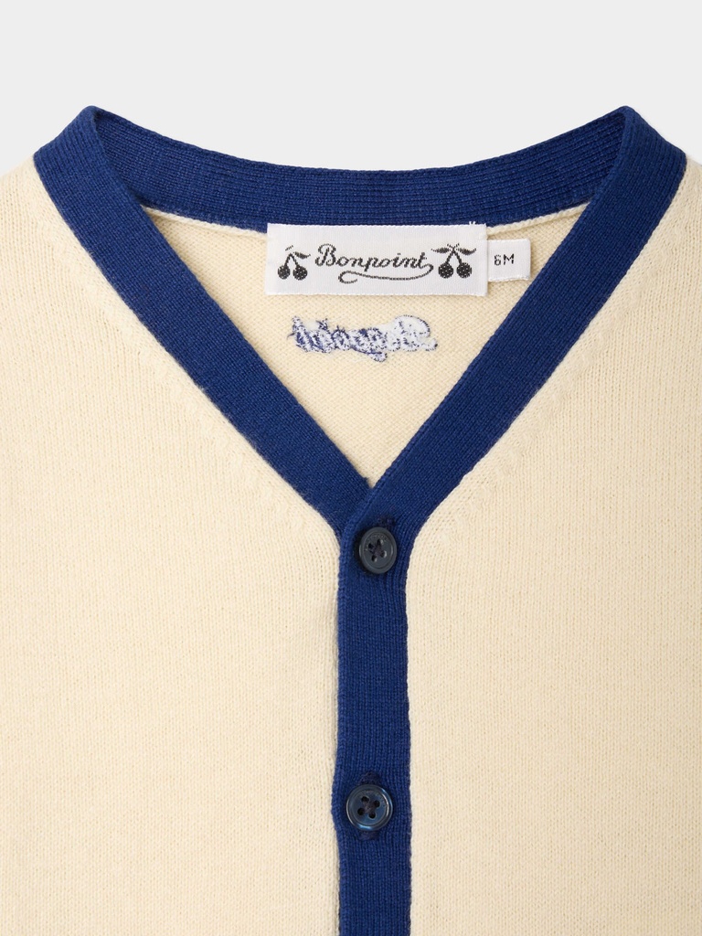 Tahiel V-Neck Cardigan