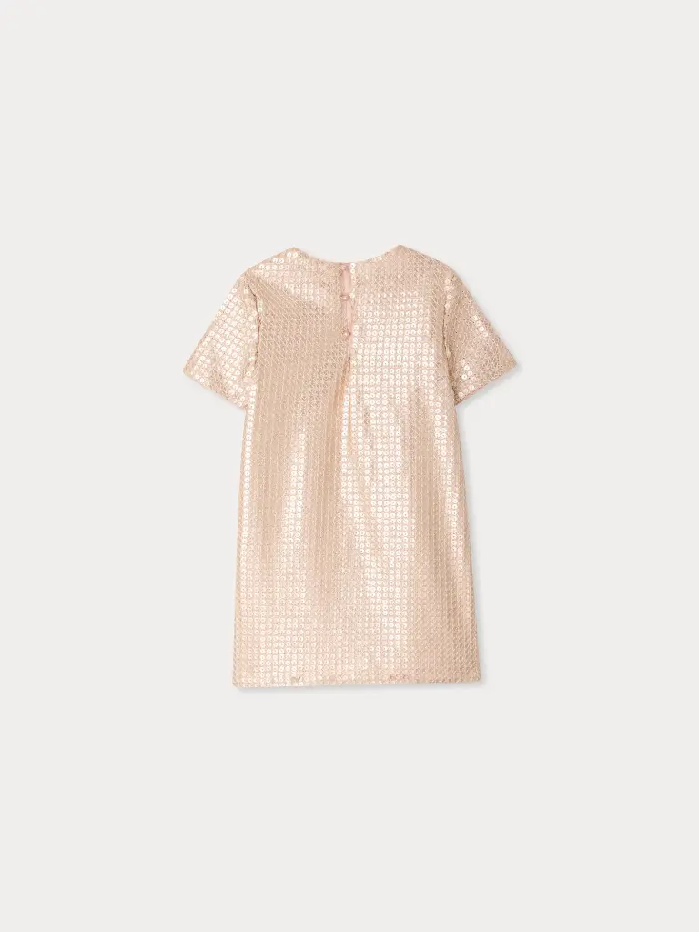 Lea Dress Embroidered with Sequins