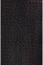 Siani Short Sleeve Knit Shirt