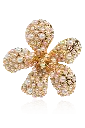 Gold Pearl Encrusted Flower Earrings