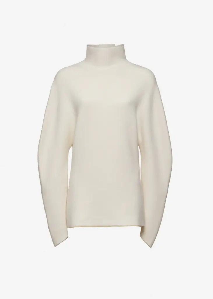 Dimensional Sleeves Wool Turtleneck