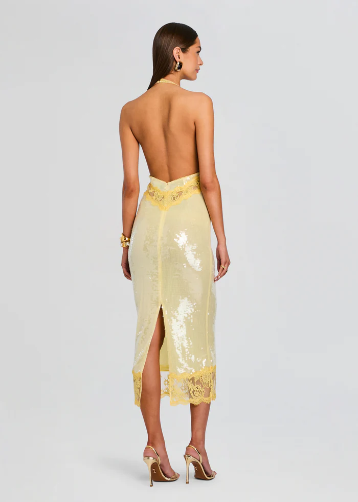 Vicky Sequin Lace Dress