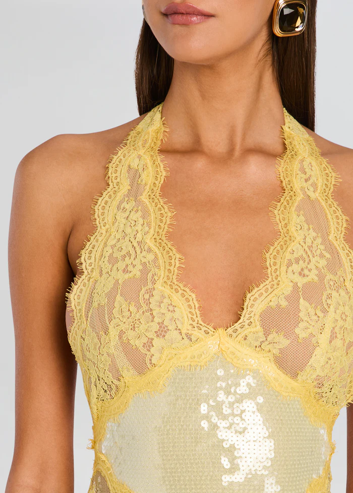 Vicky Sequin Lace Dress