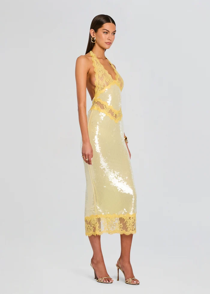 Vicky Sequin Lace Dress
