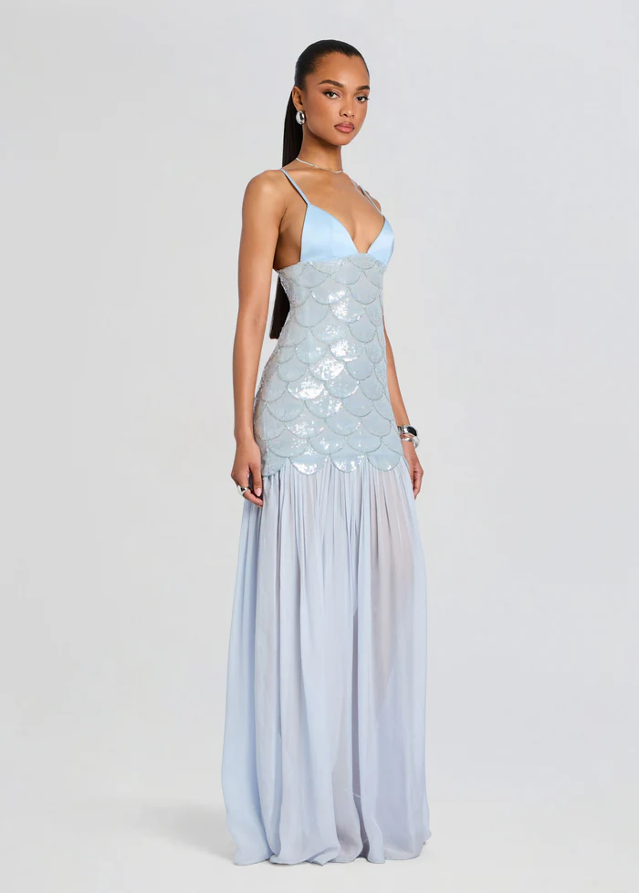 Eileyn Embroidered Dress