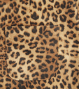 Anouk Leopard Print Skirt