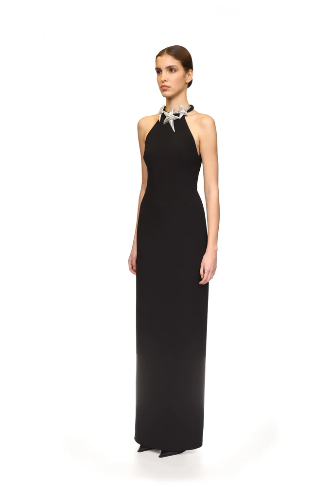 Crystal Star Emnbroidered Neckline Detail Gown 