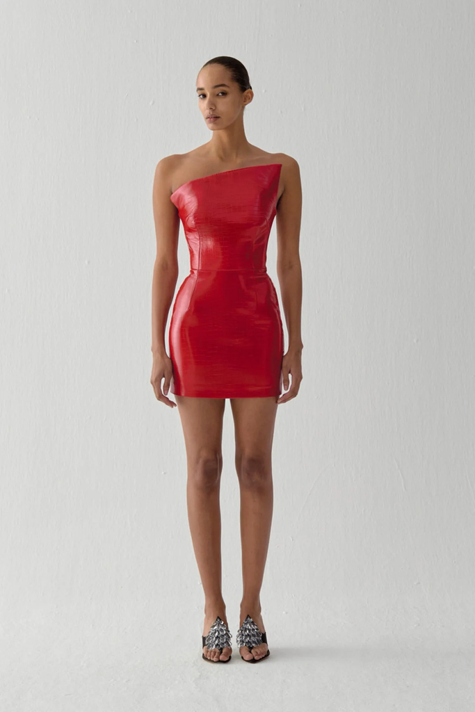 Fuji Mini Dress in Egoiste 