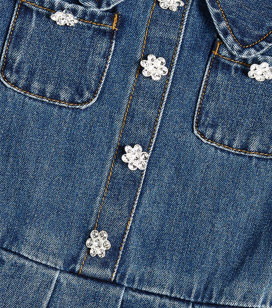 Denim Pleated Dress