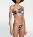 Zebra Bikini Set
