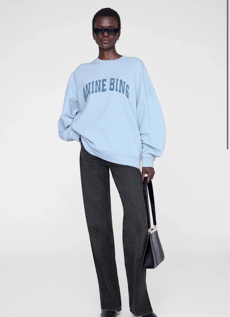 Miles Sweatshirt Anine Bing - Pale Blue