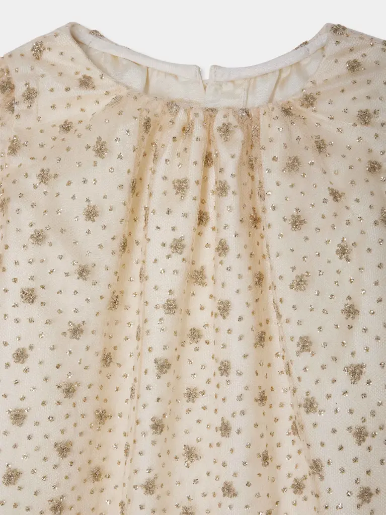 Robe Jelisa en tulle brodé avec doublure