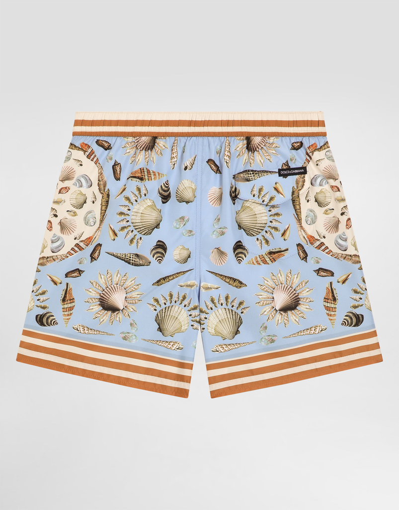 Conchiglie F.Celeste