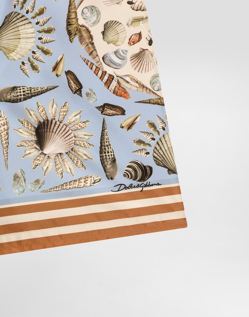 Conchiglie F.Celeste