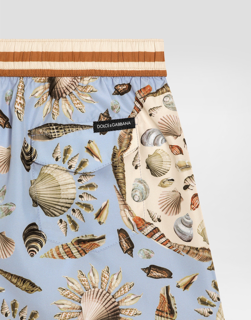 Conchiglie F.Celeste