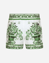 Majolica Print Swim Shorts Green