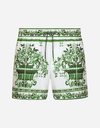 Majolica Print Swim Shorts Green