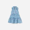 Flower Denim Embroidered Dress