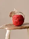 Laney Handmade Cherry Raffia Bag