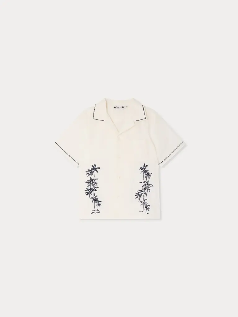 Steve Shirt 