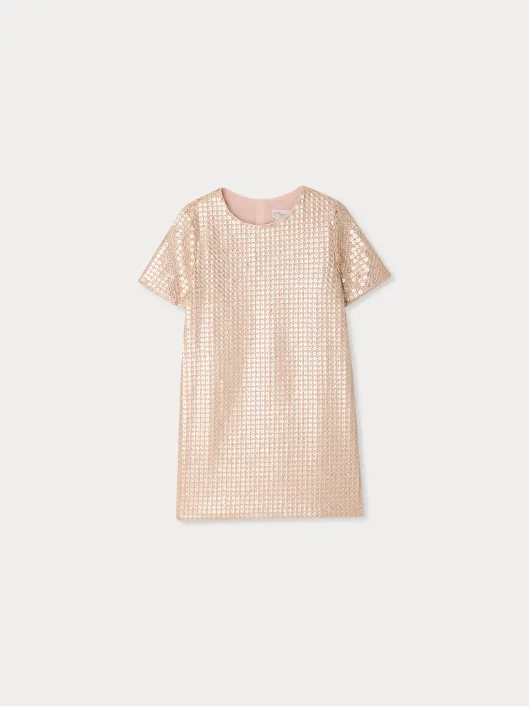 Lea Dress Embroidered with Sequins