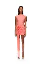 Cactus Dahlia and Drape Mini Dress