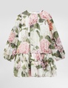 Hydrangea Print Chiffon Dress