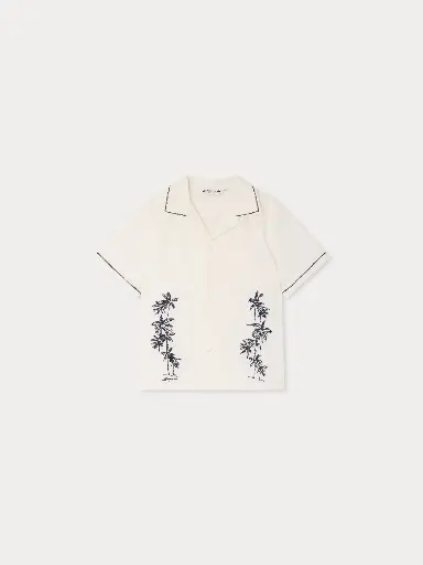 Steve Shirt 