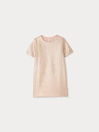 Lea Dress Embroidered with Sequins