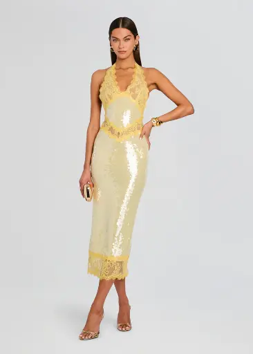 Vicky Sequin Lace Dress