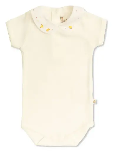 [100565] Body Cygne Mc